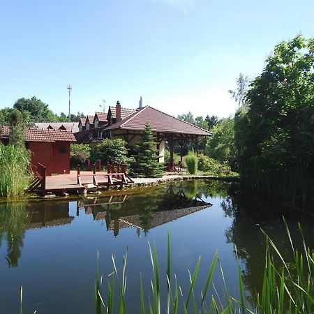 Ivanek Guest House Zvikovske Podhradi Luaran gambar