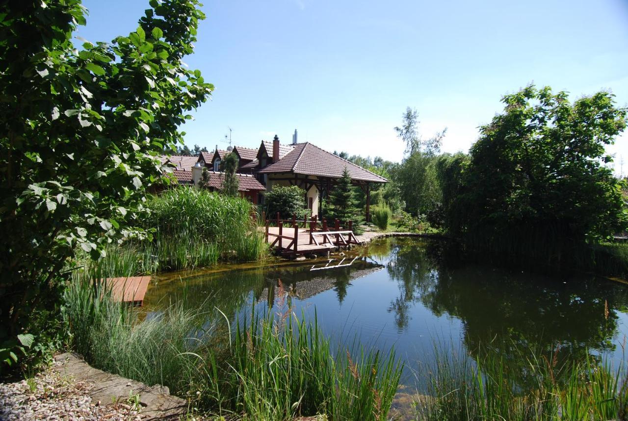 Ivanek Guest House Zvikovske Podhradi Luaran gambar
