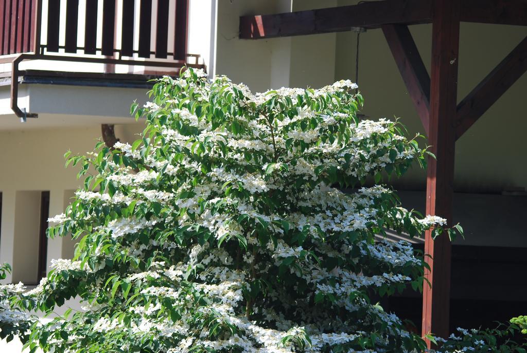 Ivanek Guest House Zvikovske Podhradi Luaran gambar